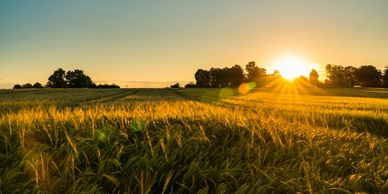 Equine Session with Horse & Soul in Hays, KS 