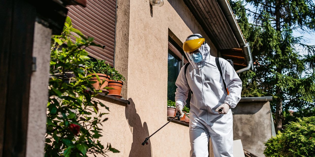 Person in protective suit spraying plants outside house.