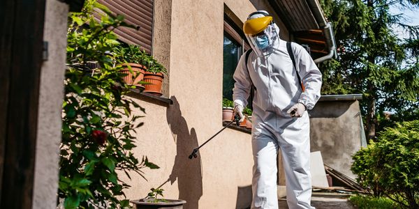 Technician performing pest control treatment at a residential property in Phoenix, AZ