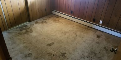 Stained carpet with odor