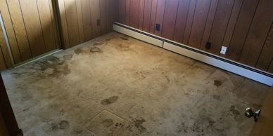 Stained carpet with odor