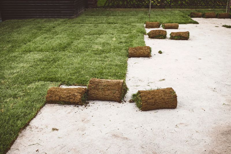 Laying sod for a new lawn. Easy and simple way to get a beautiful lawn.