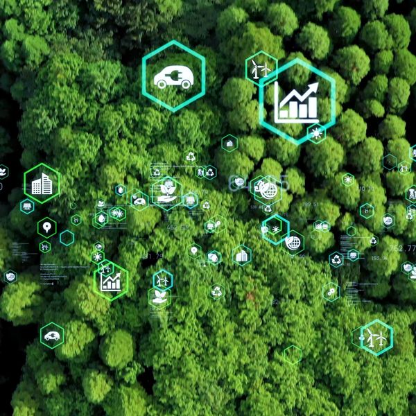 Aerial view of a forest with digital icons representing sustainability and renewable energy.