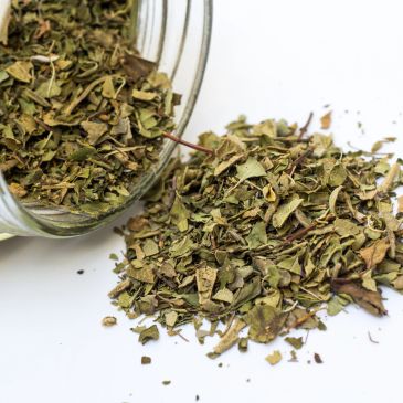 Dried herbs spilled from a glass jar.