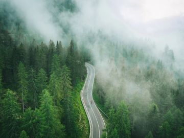 Foggy forest road winding through green trees.