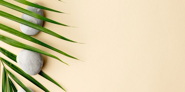 Smooth gray stones with green palm leaves on beige background.