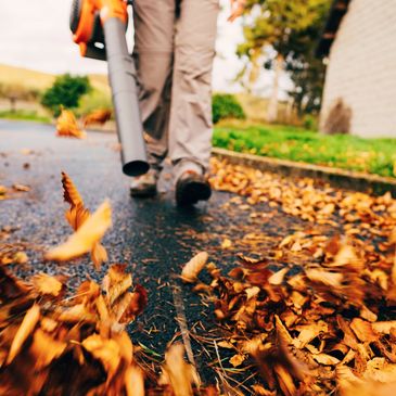 Person using a leaf blower to clear fallen autumn leaves from a driveway.