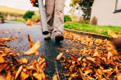 Leaf blowing in the fall in Knoxville TN