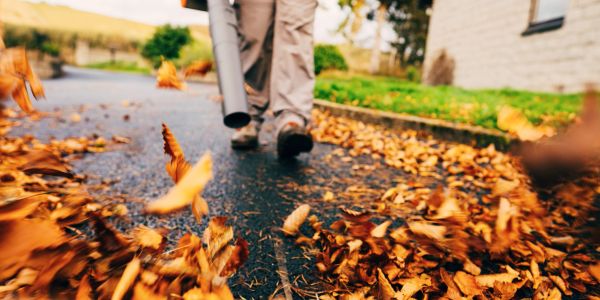 Person blowing leaves on a driveway with a leaf blower.