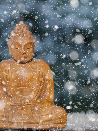 Join us for gentle aromatherapy infused  yoga, crystal healing & sound bath. Herbal tea served