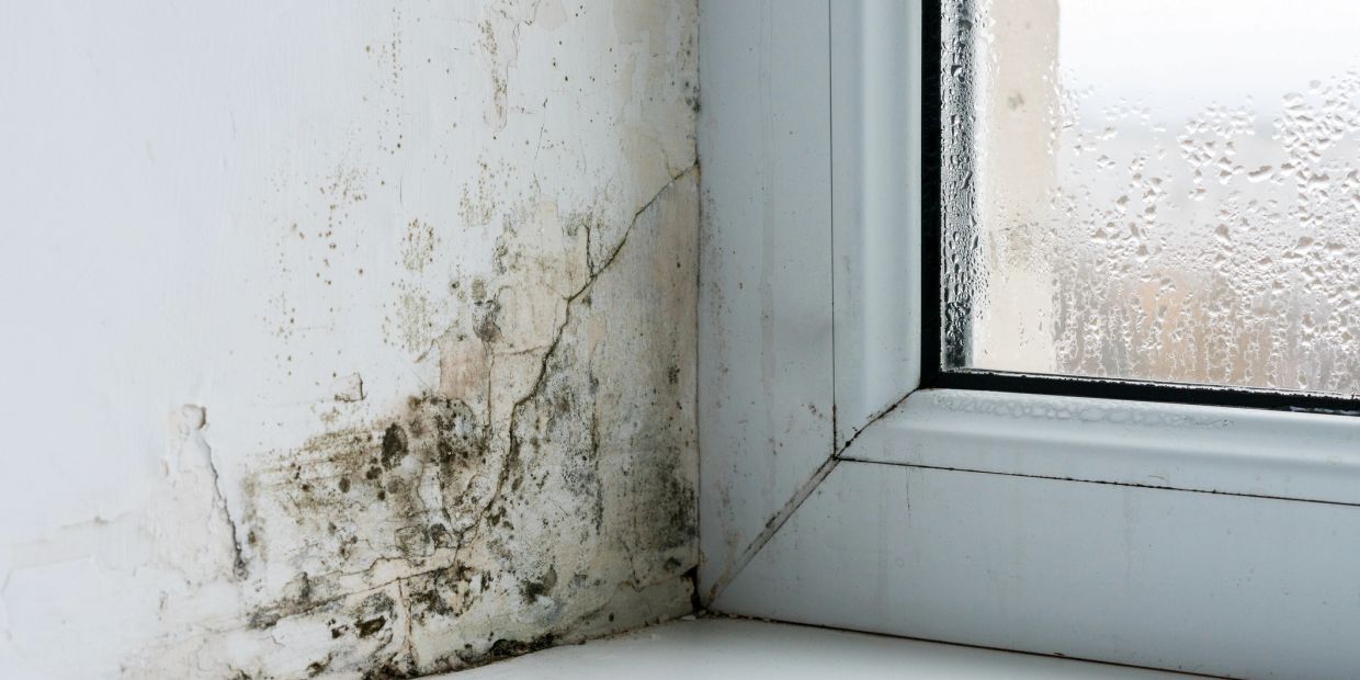 Damp proofing surveys on request 