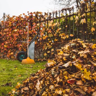 Garden maintenance and clearance - Truro, Cornwall.