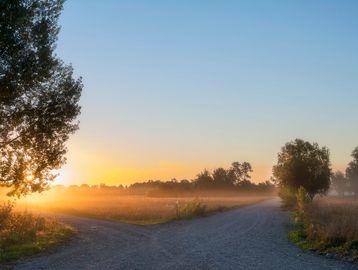 A forked gravel path at sunrise with trees and mist.