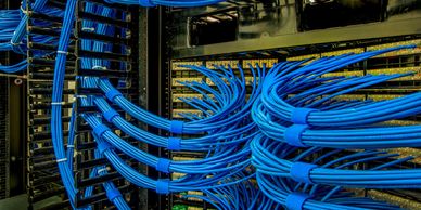Blue network cables organized in a server rack.