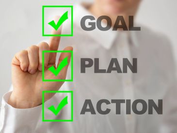 Checkmarks on goal, plan, and action.