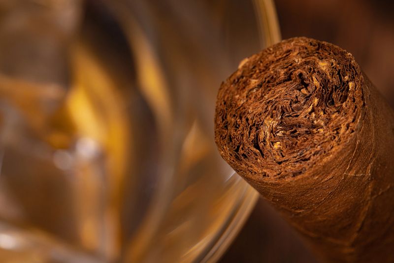 Close up photo of luxury cut new cigar