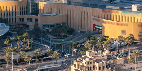 Modern building with United Arab Emirates flag and palm trees.
