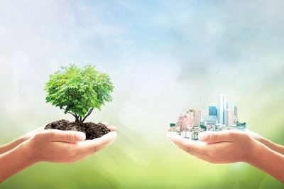Hands holding a small tree and a miniature city, symbolizing nature versus urbanization.
