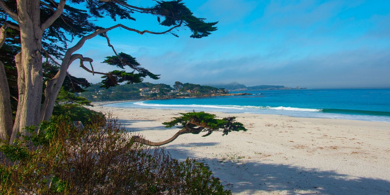 
La Playa Carmel  L’Auberge Carmel  Cypress Inn Coachman's Inn Portola Hotel & Spa  Stilwell Hotel