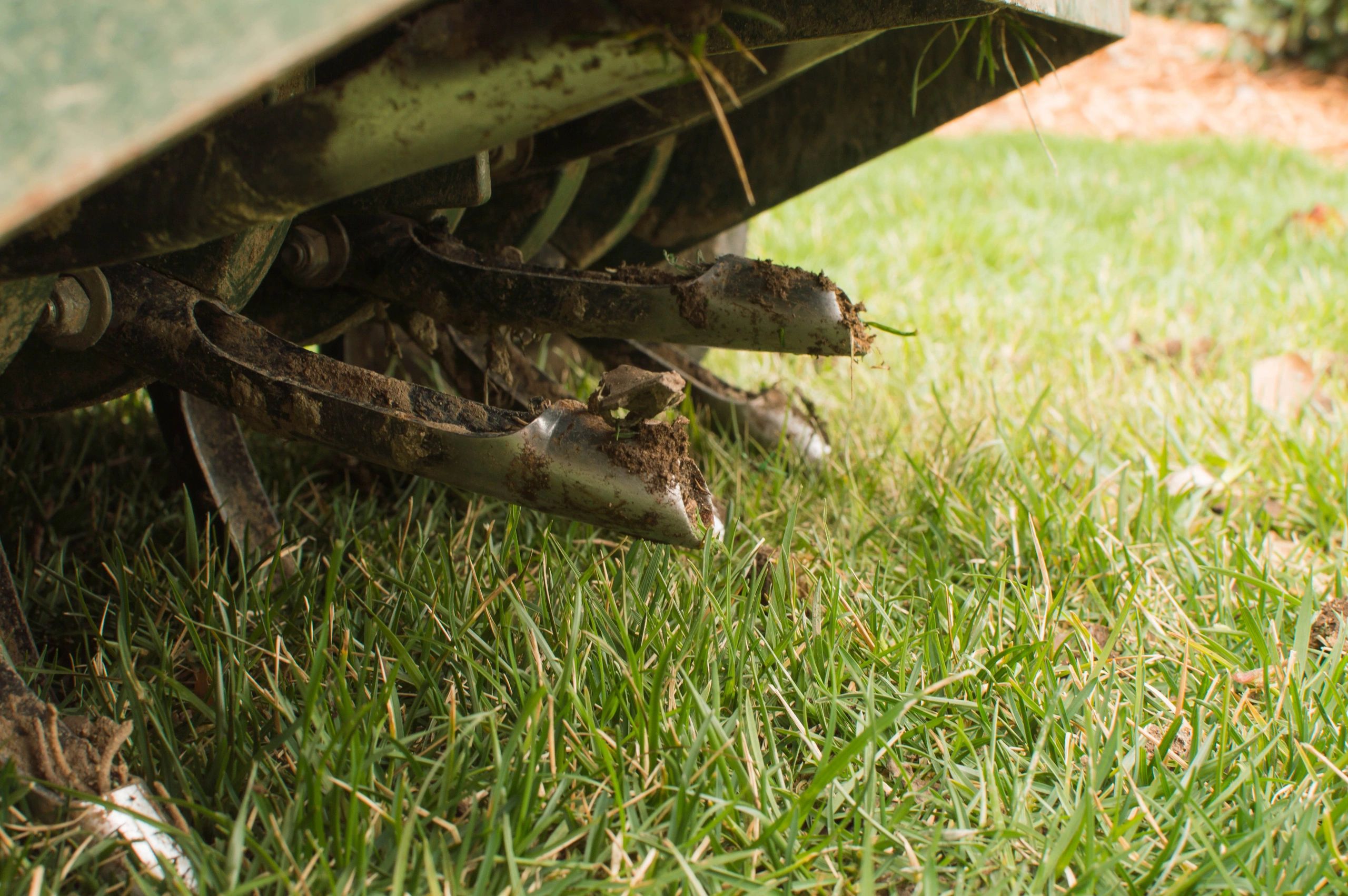 Lawn aeration service in Lexington, KY to improve soil health and grass growth