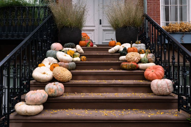 Autumn pumpkins and gourds decorate a brown staircase with black railings.