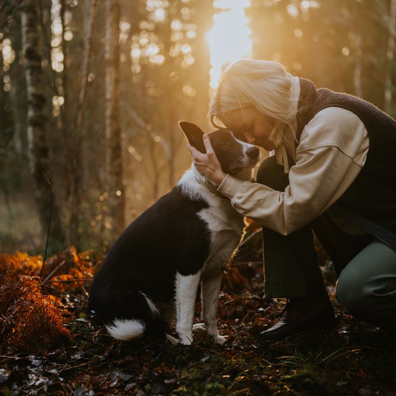 Woman and her dog out on hike in nature forest landscapeWoman and her border collie mix Jussi