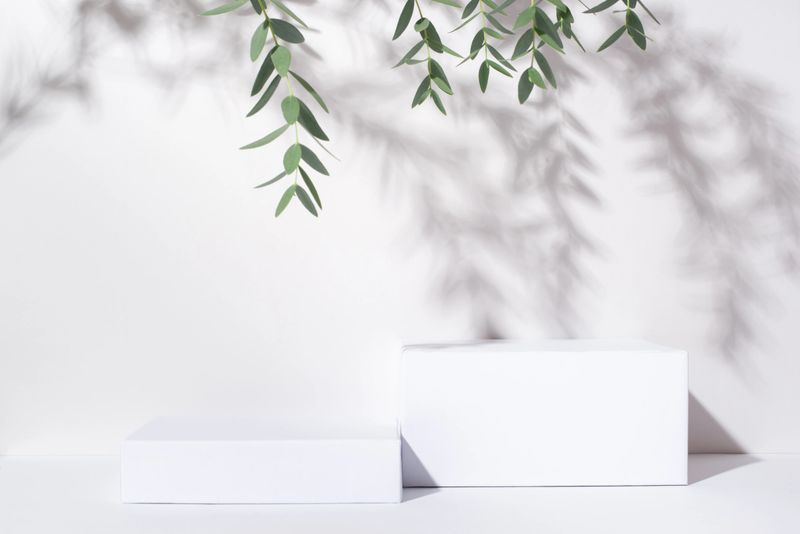 White background for cosmetic products. Rectangular podiums with the shadow of the branches of the eucalyptus.