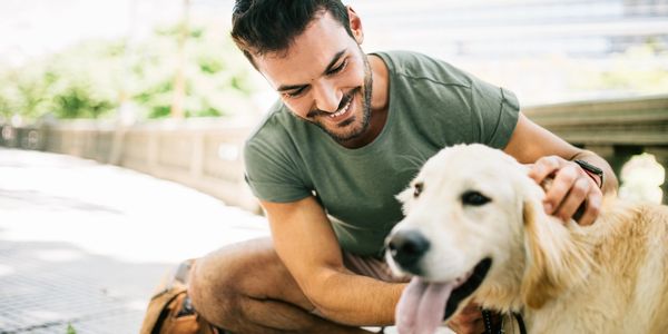 Man happily playing with a golden retriever.