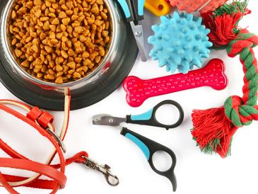 A collection of dog care items including food, toys, and grooming tools.
