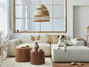 Cozy living room with beige sofa, wooden tables, and a dog lounging comfortably.