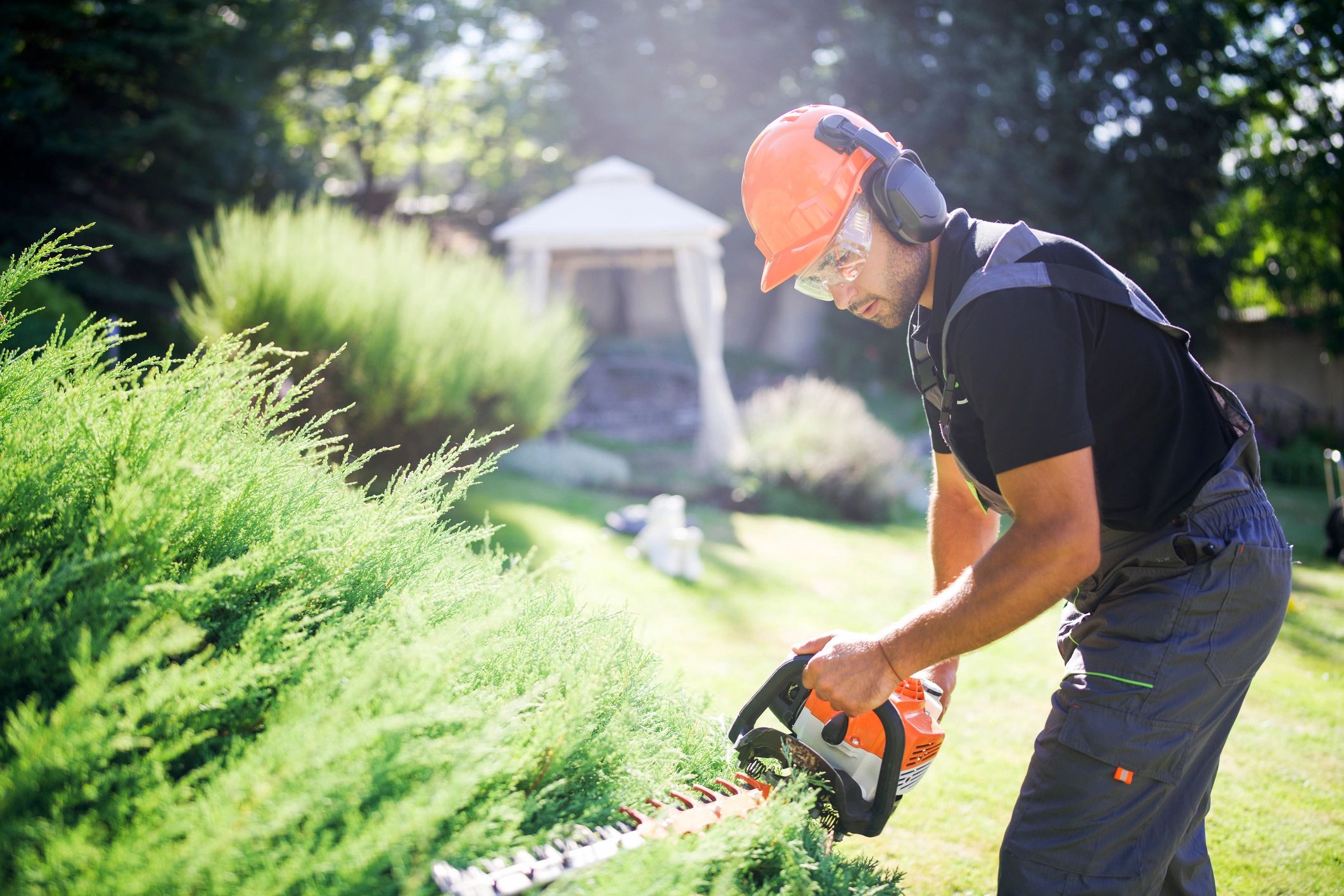 Spring Landscaping Ideas