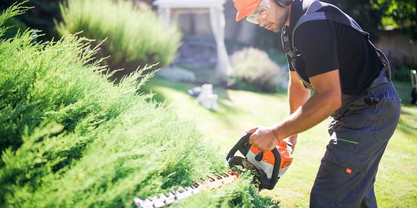 A man trims bushes with a hedge trimmer in a garden.