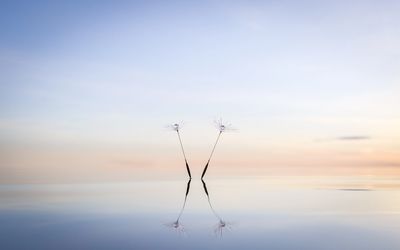 Sharon Nicholson 
Trauma Therapist UK

BetrayalTrauma 
Narcissistic Abuse Recovery 