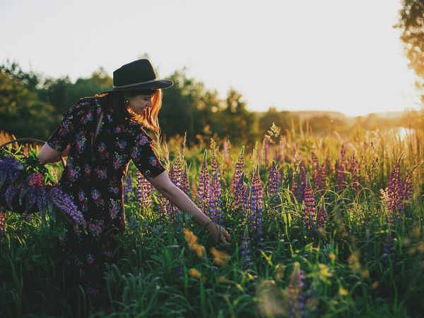 Woman in a floral dress and black hat picking flowers in a sunlit field.