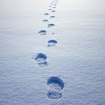 In the event of impending inclement weather, PLEASE call Bob the day before.  Much time goes into pr