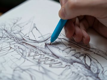 Hand sketching a detailed anatomical drawing.
