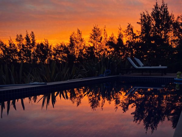 Sunset reflecting on a calm pool with trees silhouetted.