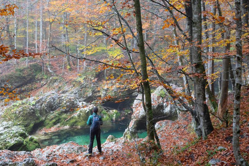 Traveler and his journey. appreciating nature.