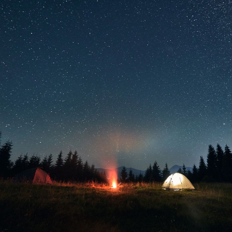 Night camping under amazing starry sky. Wide angle view on beautiful landscape in the mountains. Two tents, one glowing, and campfire, wall of spruces on background. Concept of travelling.