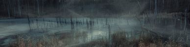 Foggy, eerie marshland at night with dead trees and mist.