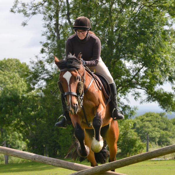 A rider and horse jump over crossed wooden poles in a lush green field.