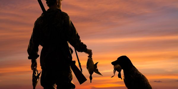 Duck hunter and dog