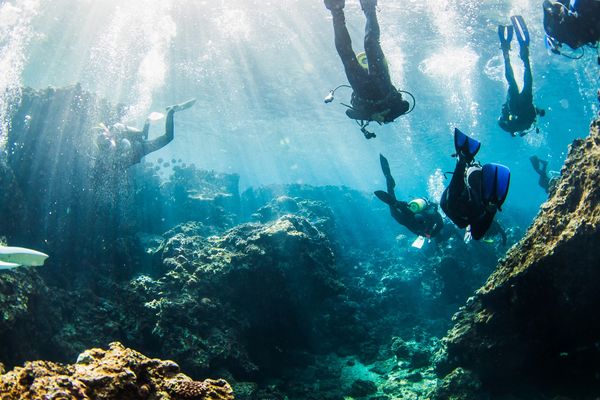 Group of scuba divers exploring an underwater coral reef.