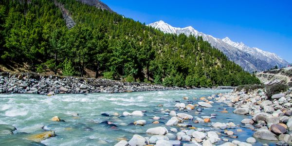 A clear mountain river flowing through rocky banks with pine trees and snow-capped peaks. shimla kufri manali rohtang baralcha pas sightseeing tour package himachal kasol