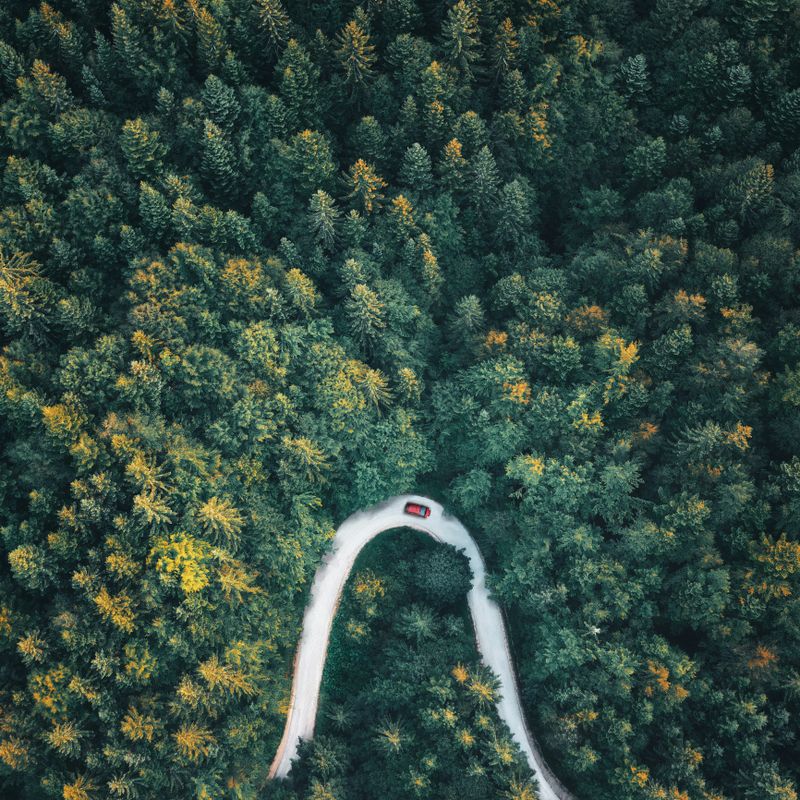 Red car driving on Idyllic winding road through the green forest.