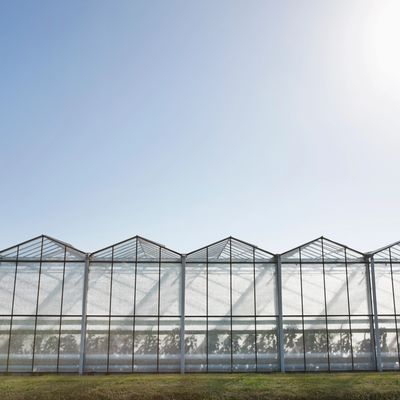 Greenhouse shading - North Wales Agri Drones