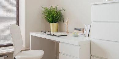 Minimalist white desk setup with a green plant and white chair.