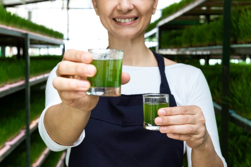 Front view of an unrecognizable female farmer is holding a glass of wheatgrass juice in a greenhouse with a toothy smile