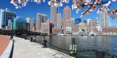 Springtime view of Boston's waterfront with city skyline and cherry blossoms.
