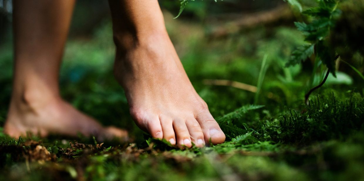 Bare feet touching green moss in nature.